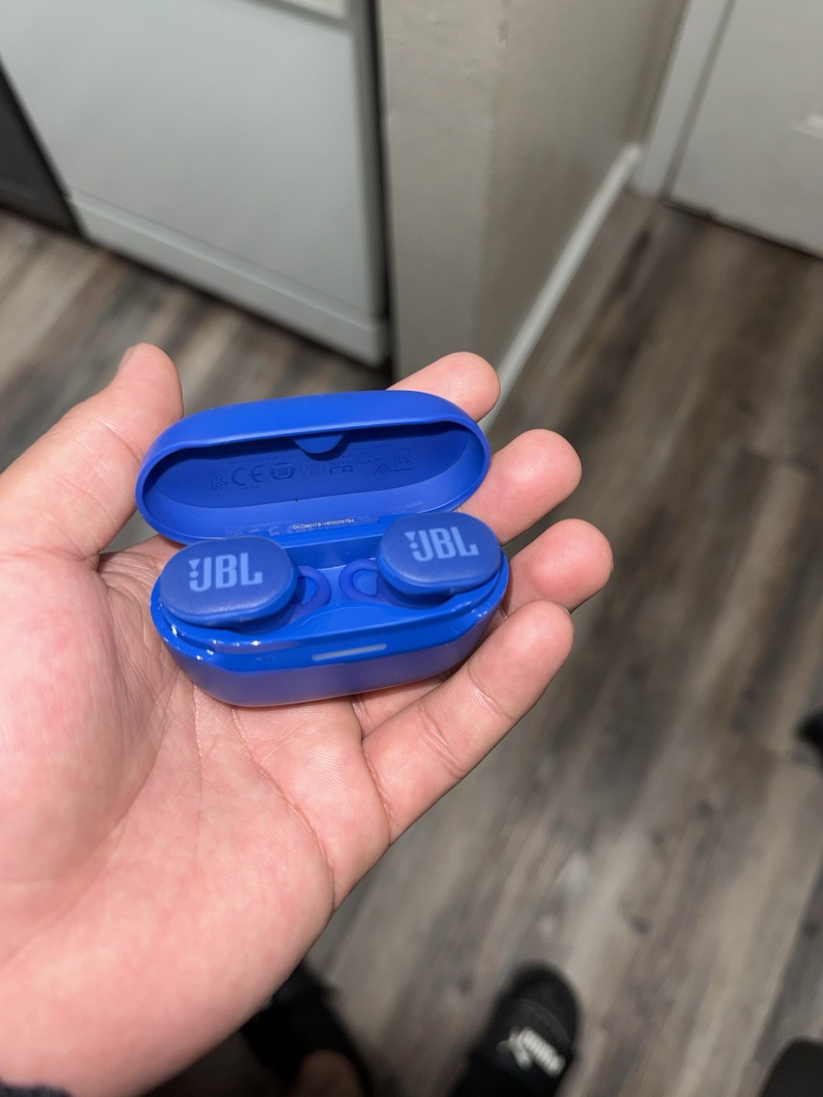JBL Endurance Race 2 True Wireless Bluetooth Waterproof In-Ear Mic Blue