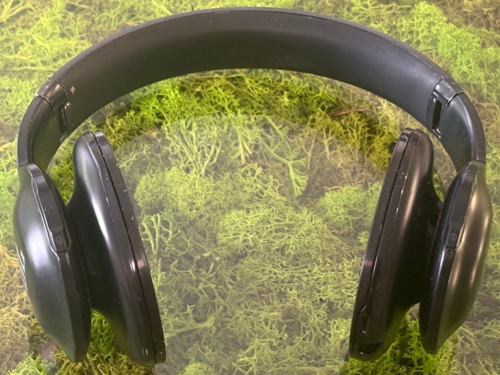 JBL EVEREST ELITE 700 Headphones / black