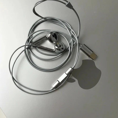 Chrome Silver Wired Headphones Chroma w/ Mic & Volume Control USB C port ⛓️
