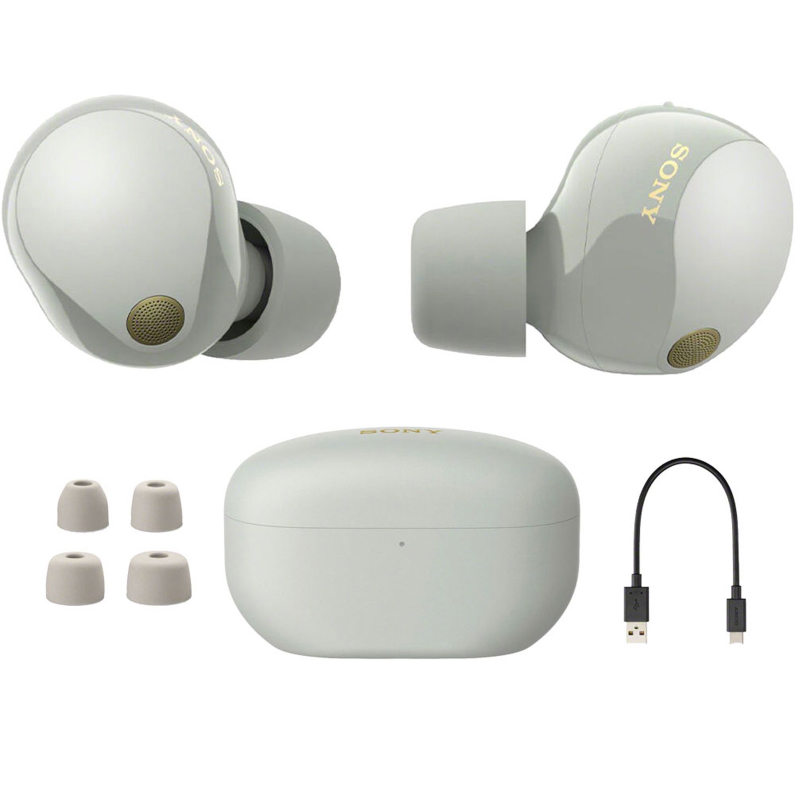 Sony Noise Canceling Truly Wireless Earbuds, Silver + Accessories + Warranty Kit