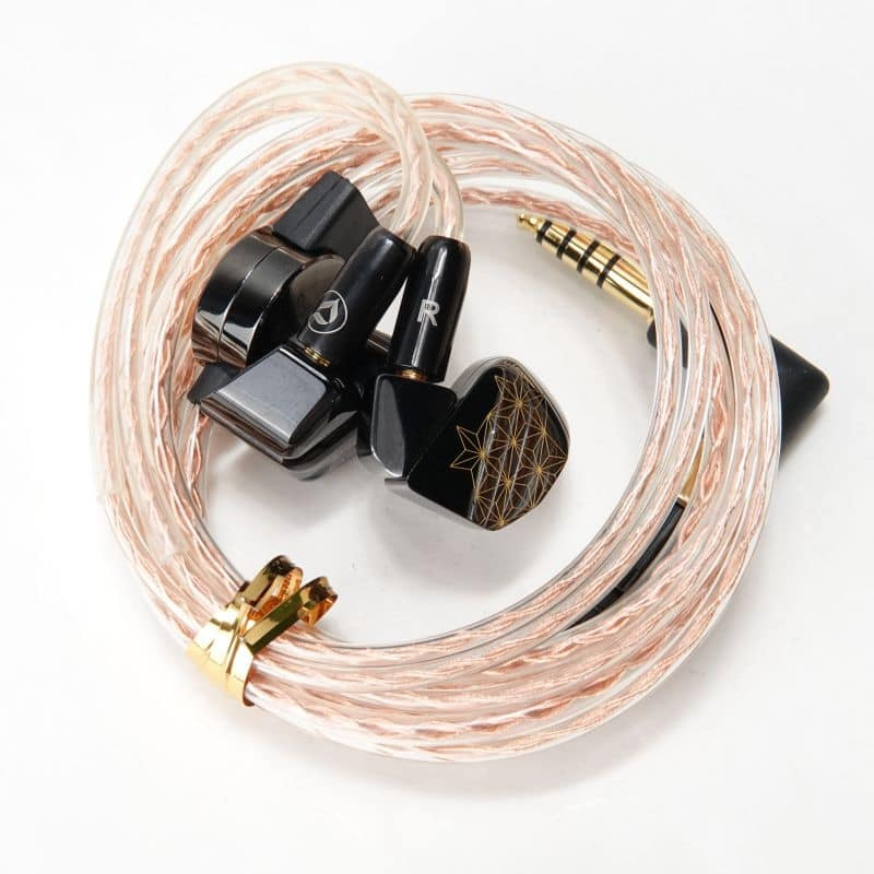 final x DITA SHICHIKU.KANGEN IEM In-Ear Monitors Earphones Used Japan