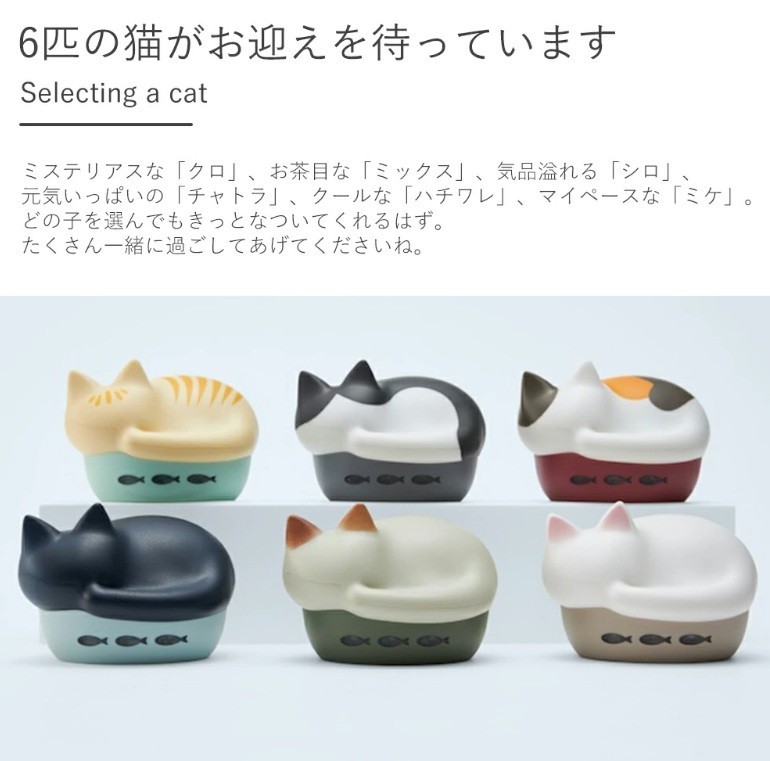 radius wireless earphones NEKO Bluetooth Microphone HP-C28BTM Cat