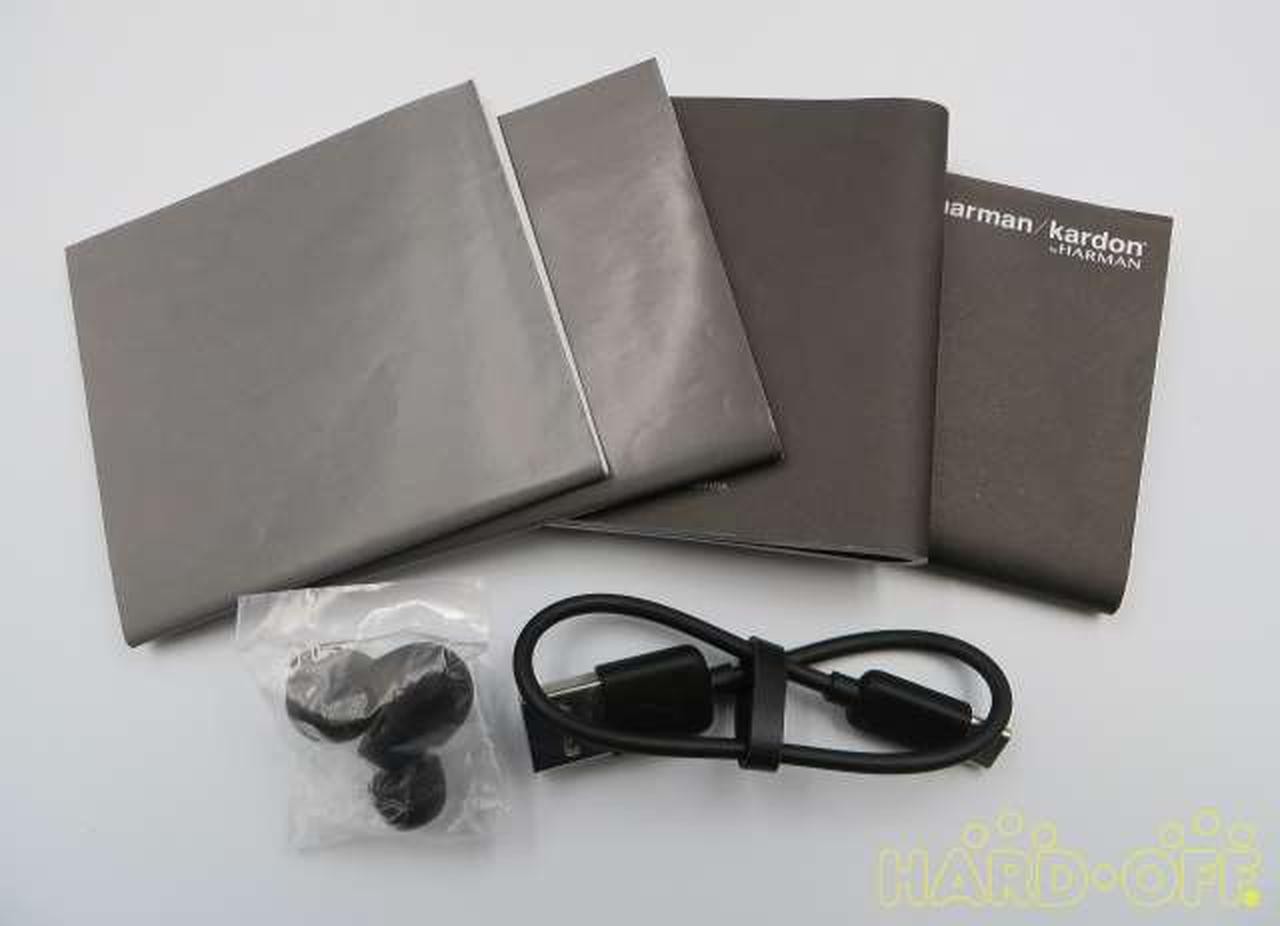 Harman Kardon Fly TWS True Wireless Earbuds Bluetooth 5.0 IPX5