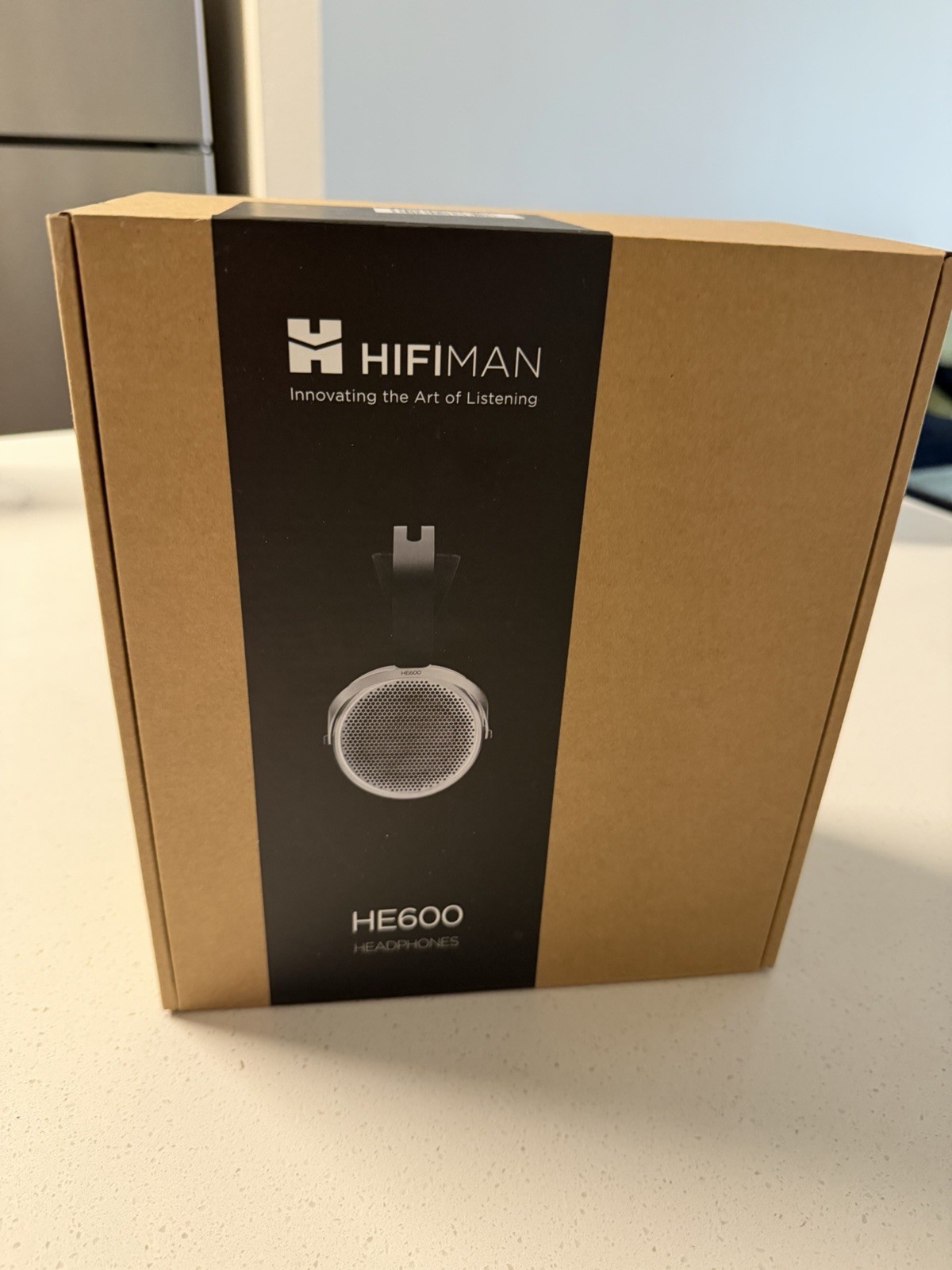HIFIMAN HE600 Open-Back Over-Ear Headphones 3.5mm Adjustable Silver/Black
