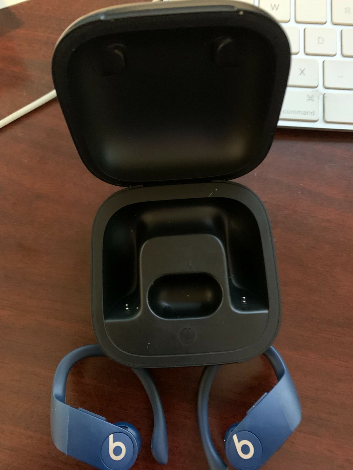 Beats by Dr. Dre Powerbeats Pro Wireless Bluetooth Sweat Resistant Earbuds – Ivo