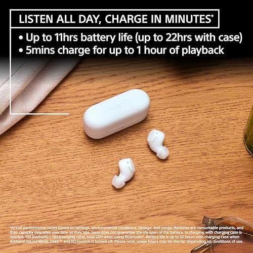 Sony WF-C510 Truly Wireless in-Ear Bluetooth Earbud Headphones with up to Black