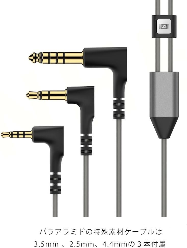 Sennheiser IE 900 In-Ear Headphones Dynamic Driver Flagship