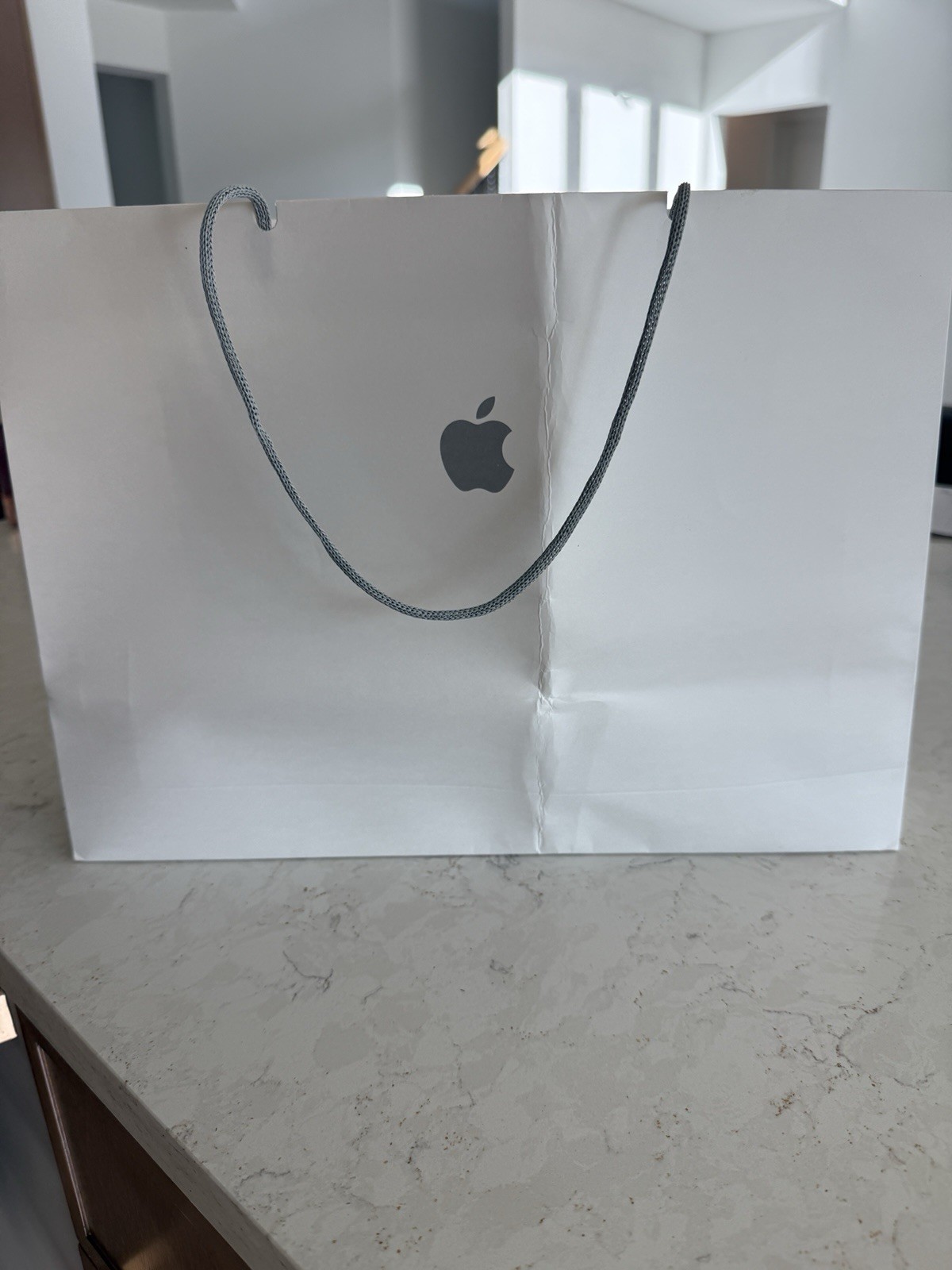 NEW Apple AirPods Max Over-Ear Bluetooth Headband Headphones w/ Smart Case Black