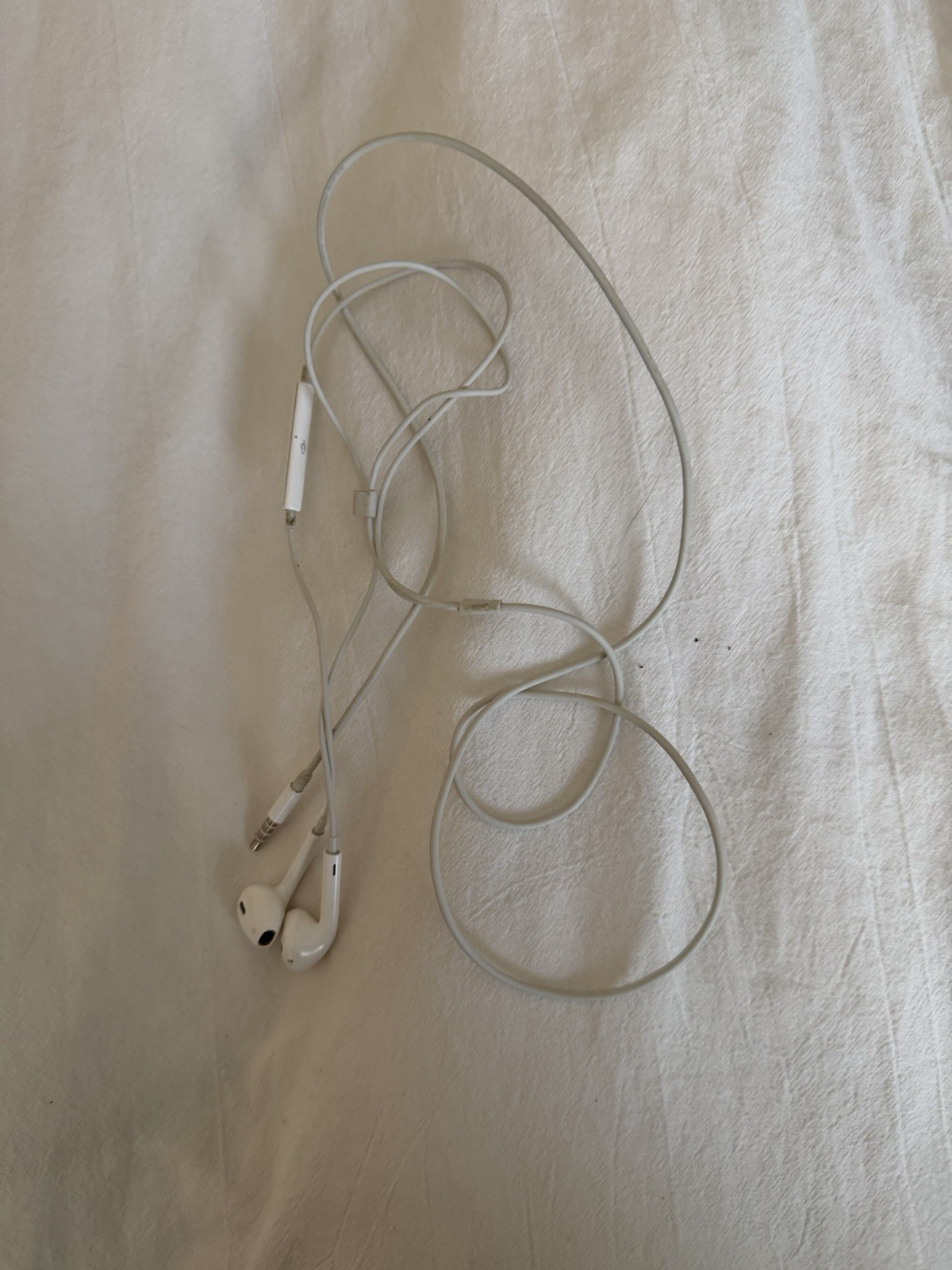 Plug In Earphones