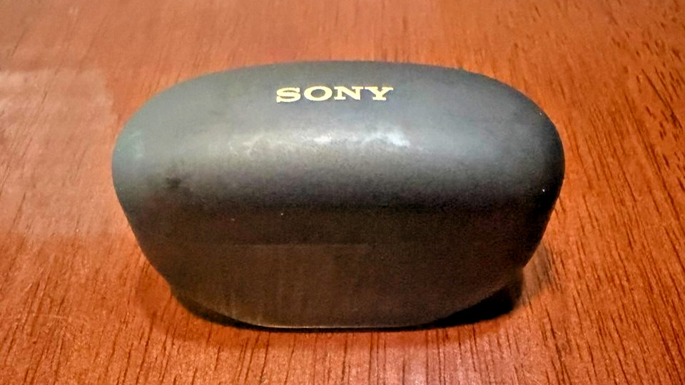 Sony WF-1000XM5/B Wireless Noise Cancelling Earbuds – Black – USED – Works Great