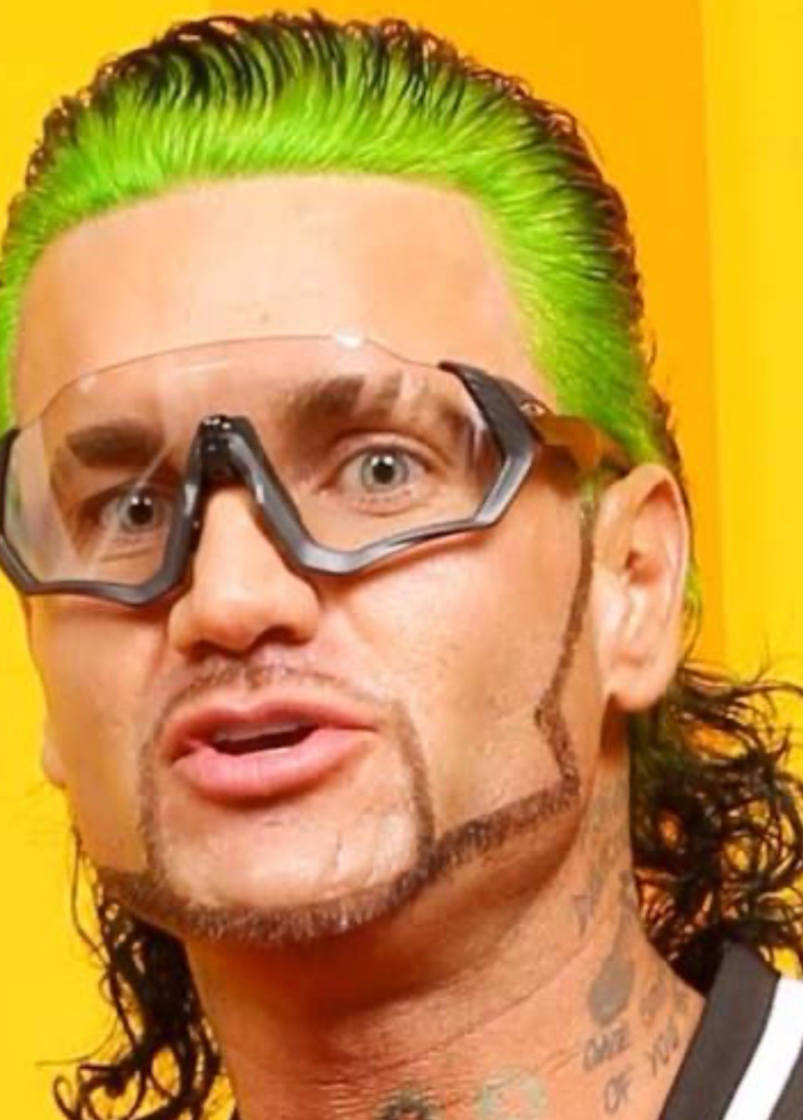 Riff Raff Pro Model Icon Soft OG skullcandy Recruit Rare Dale Dan Tony Hawk Pro