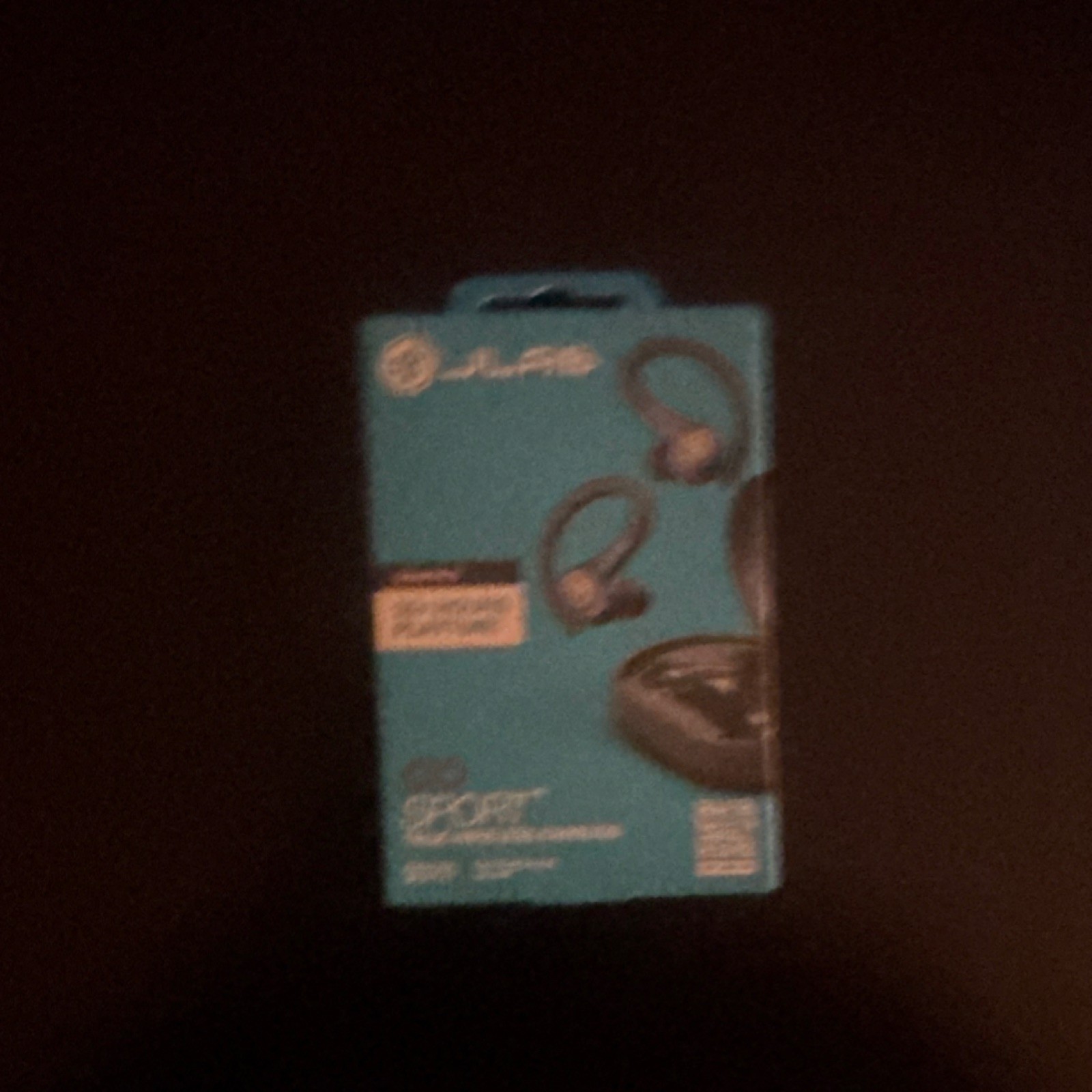 JLab Go Air Sport True Wireless Bluetooth Ear-hook In-Ear Earbuds Black