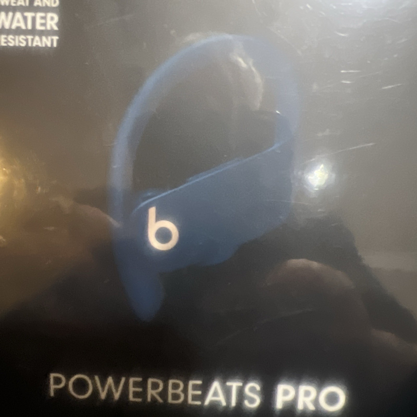 Beats by Dr. Dre Powerbeats Pro Wireless Bluetooth Sweat Resistant Earbuds Blue