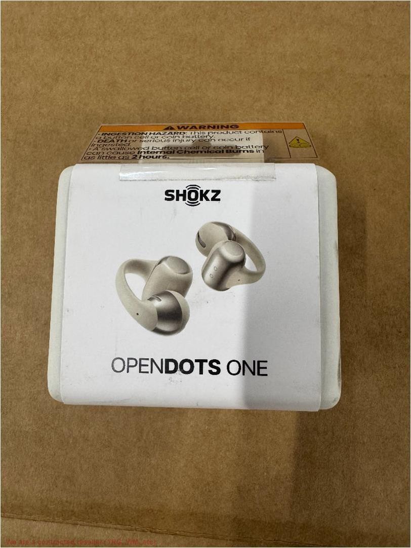 Shokz OpenDots ONE True Wireless Earbuds – Gray: USB-C