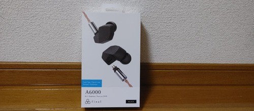 Final Audio A6000 Dynamic Closed-Back In-Ear Headphones 18 Ohm ABS Resin Body