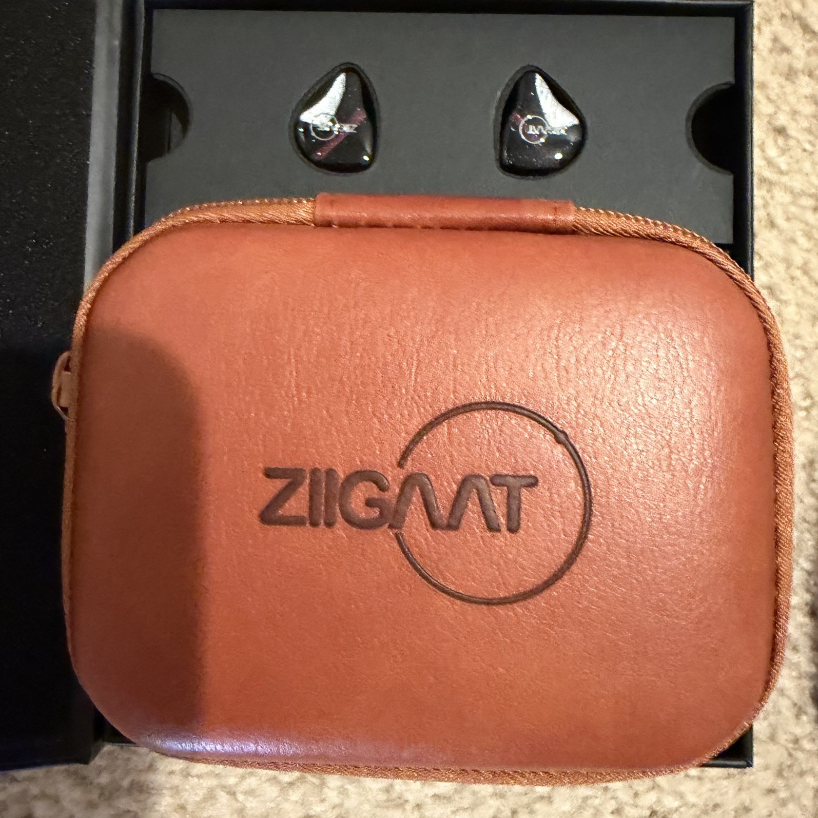 ZiiGaat Crescent 2DD+2BA Hybrid In Ear Monitor