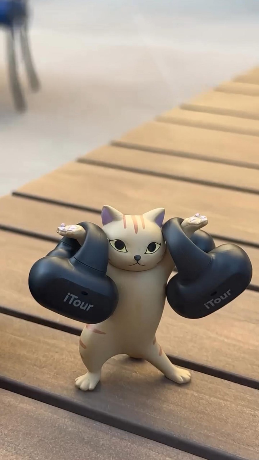 iTour Translation Earbuds Two Way Real Time Language Translator for Travel