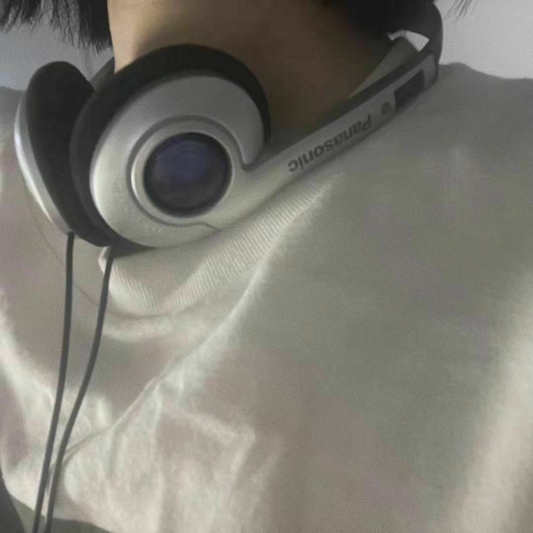 Panasonic Headphones Classic Collection Literary & Beautiful For Picture HIFI