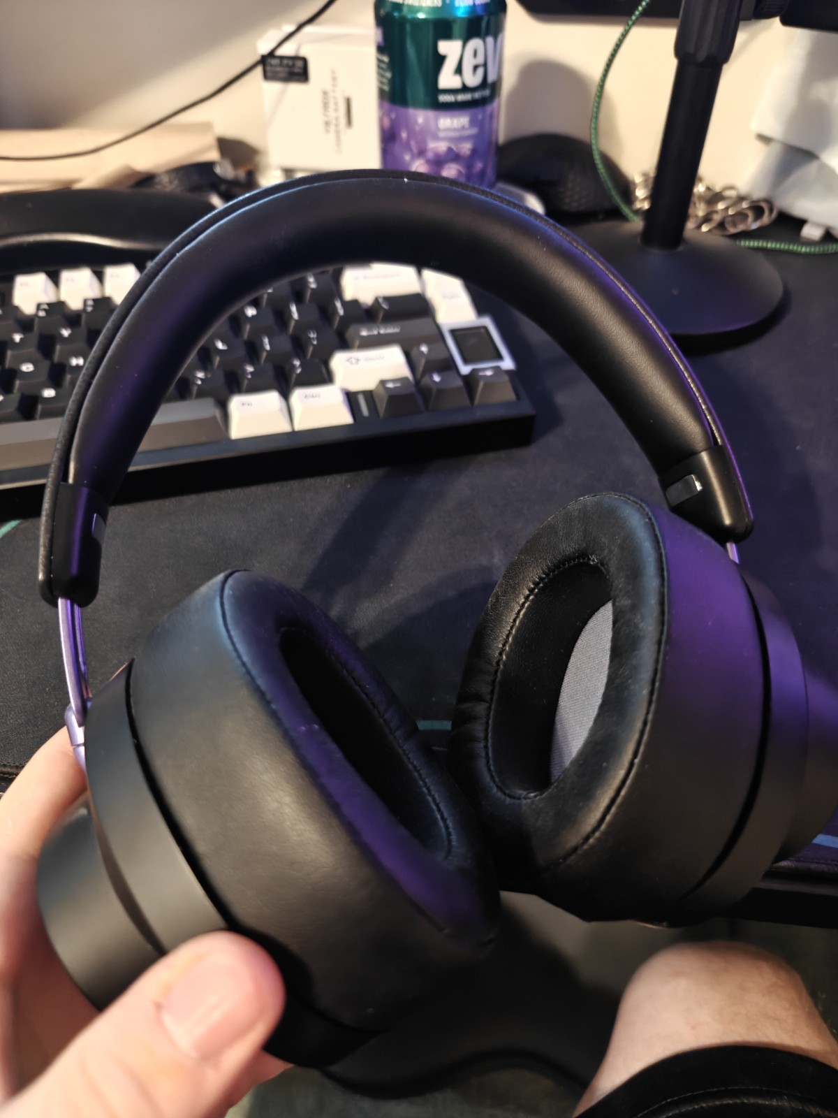 bundle Kiwi Ears x Z Reviews: Serene + Sennheiser HD 599