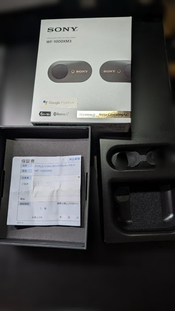 Sony WF-1000XM3 Wireless Noise Cancelling Earbuds Black w/ Original Box Japan