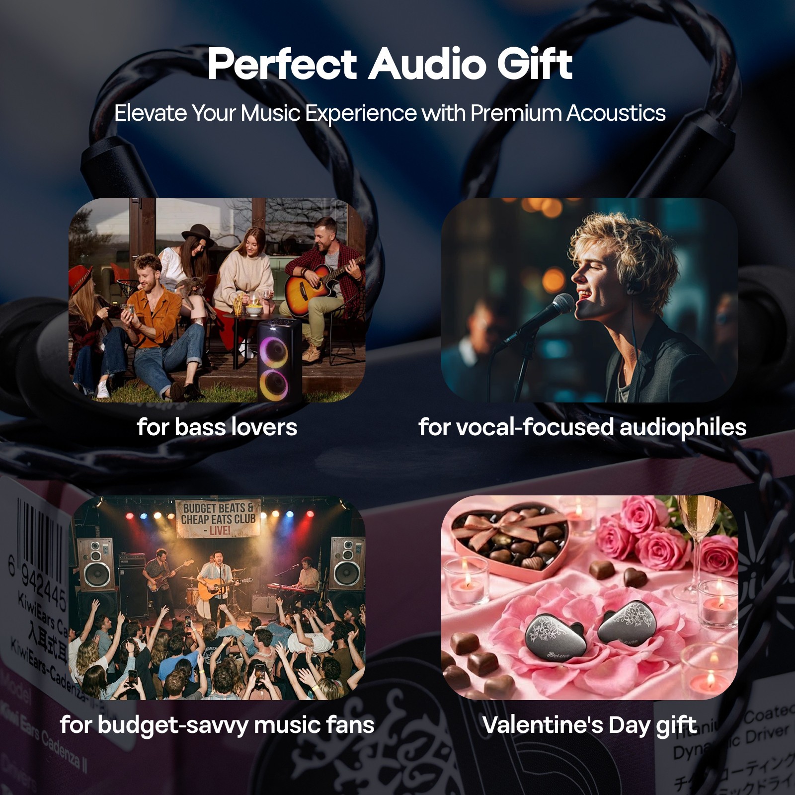 Kiwi Ears Cadenza II IEM 10mm Titanium DD with KARS 2.0 Premium Hifi Earphones