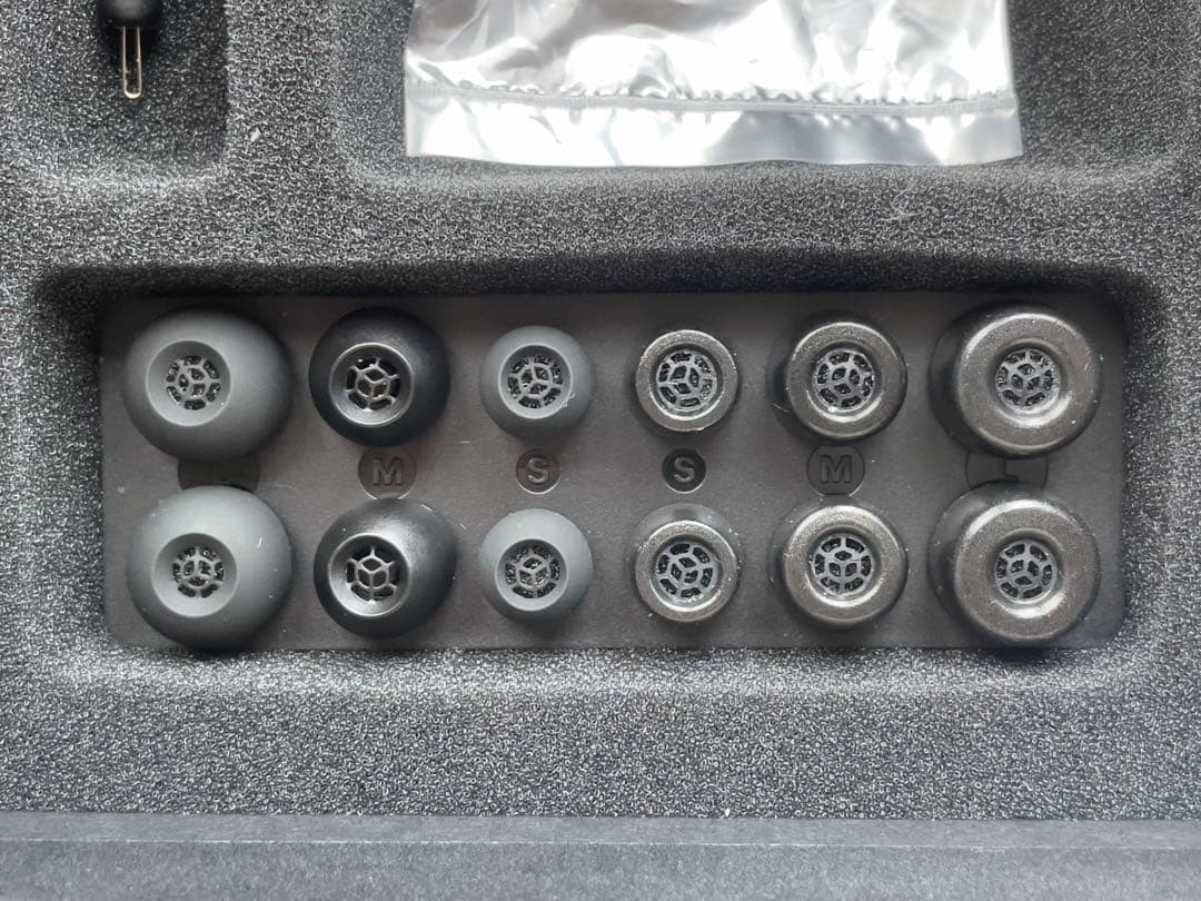 Sennheiser IE 900 In-Ear Earphones Audiophile Headphones Flagship Model