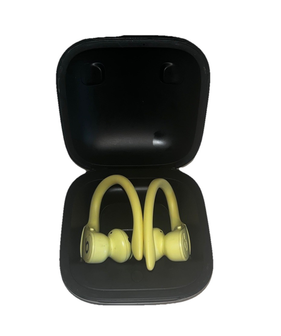 Beats by Dr. Dre Powerbeats Pro In-Ear Wireless Earphones – Black (MY582LL/A)