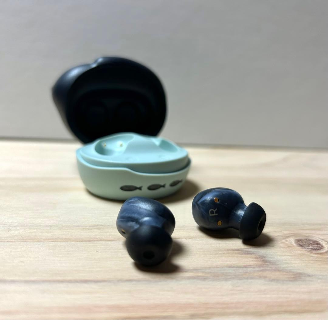 radius NEKO True Wireless Earphones Bluetooth Black HP-C28BTK Audio Player