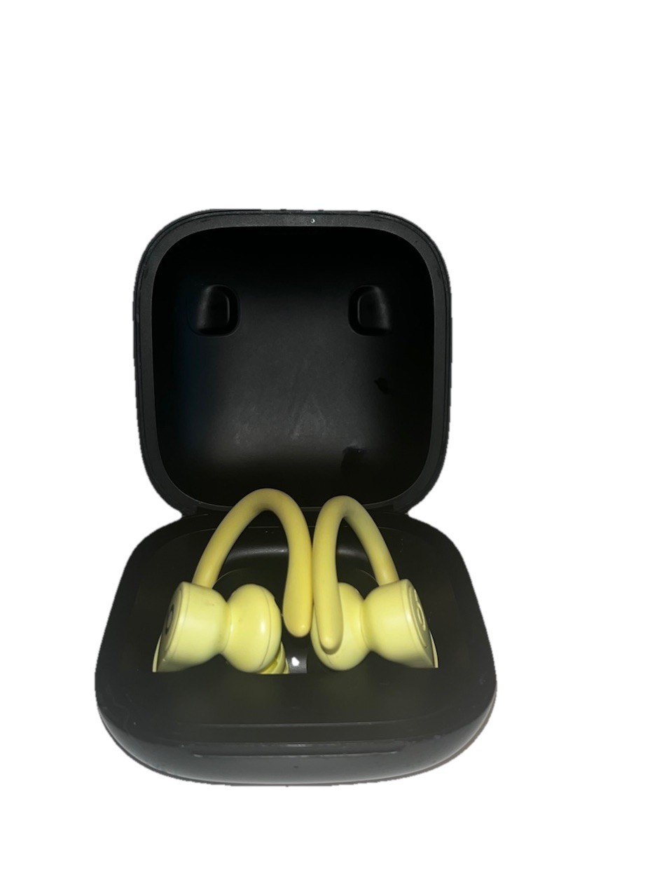 Beats by Dr. Dre Powerbeats Pro In-Ear Wireless Earphones – Black (MY582LL/A)