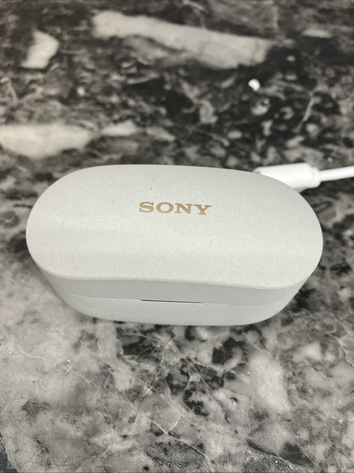 Guaranteed Work Sony WF-1000XM4 Noise-Cancelling True Wireless Earbuds (YY2948)