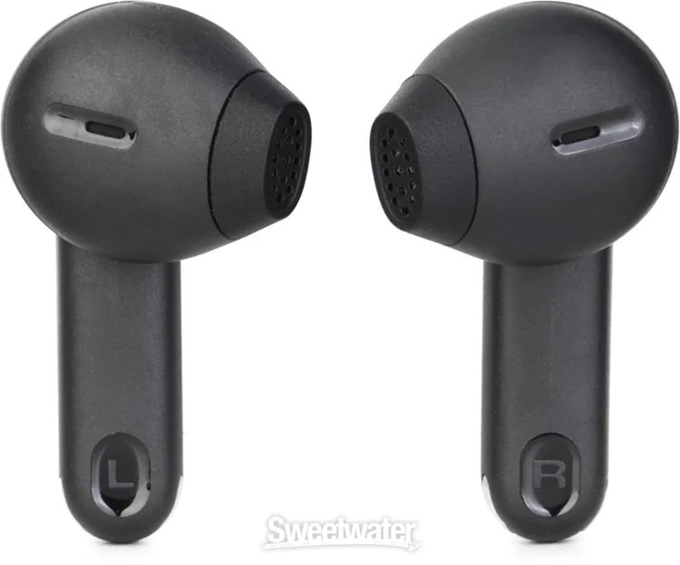 JBL Tune Flex 2 True Wireless Earbuds – Black
