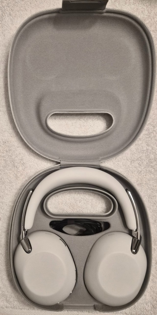 Sony – 1000X THE COLLEXION Wireless Noise Canceling Headphones – Platinum – MINT