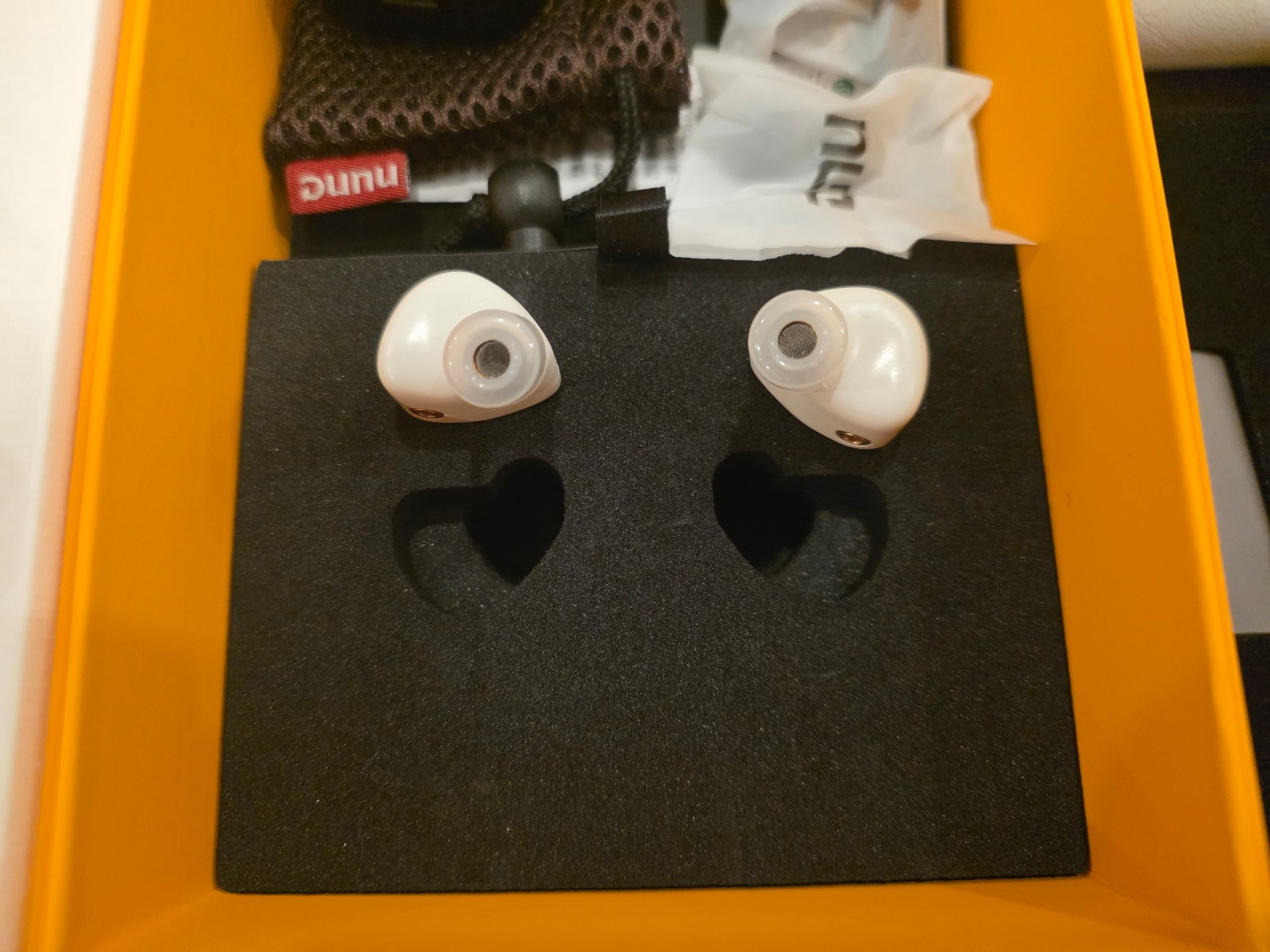 DUNU DK3001BD x EA Limited Edition + DUNU DTC800