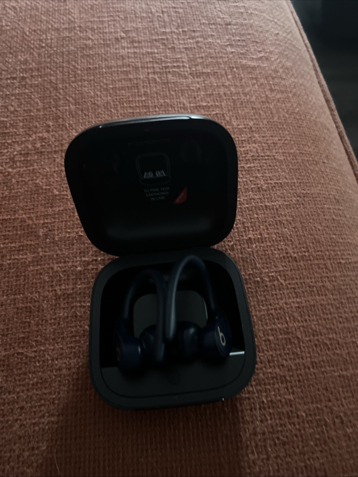 The image shows a pair of Beats Powerbeats Pro Totally Wireless Earbuds Blue