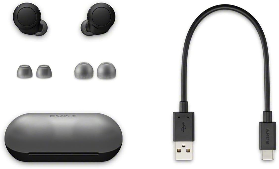 Sony WF-C500 True Wireless In-Ear Bluetooth Earbud Headphones IPX4 w Charge Case