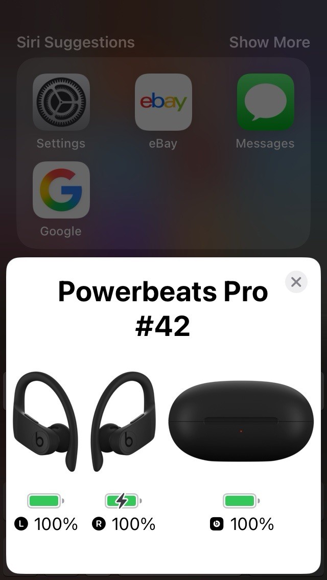 Beats by Dr. Dre Powerbeats Pro Ear-Hook Wireless Headphones – BLACK