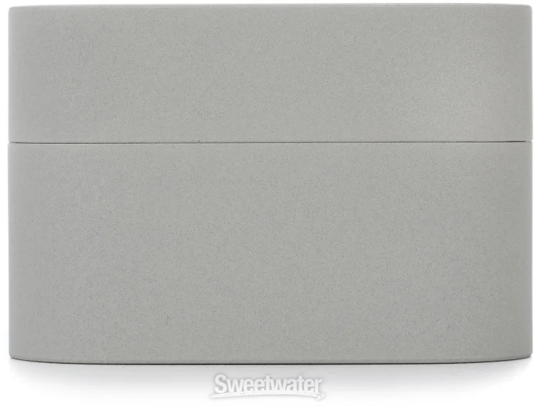 Sony WF-1000XM6 Truly Wireless Earbuds – Platinum Silver