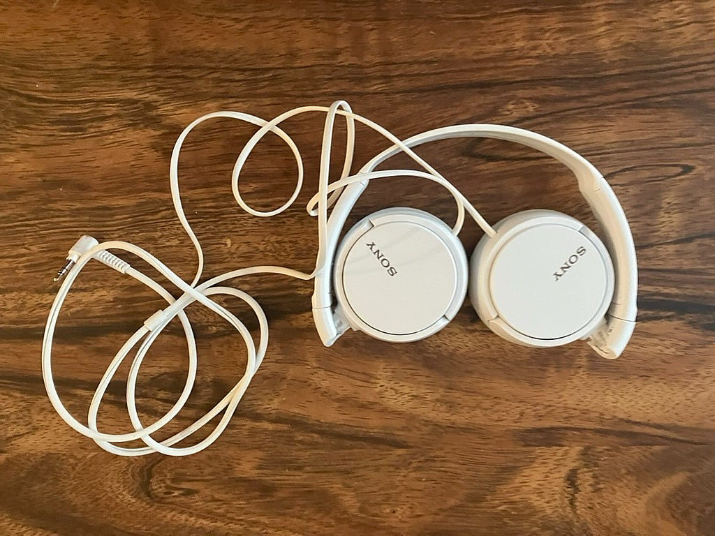 Sony MDR-ZX110 Ear-Pad (On the Ear) Headband Headphones – White