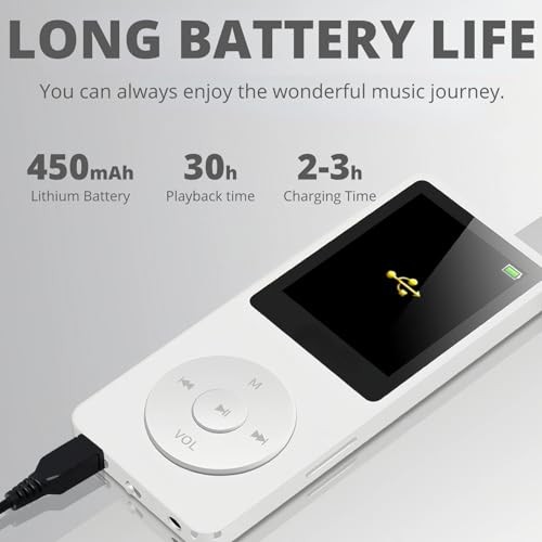 Portable MP3 MP4 Player 8GB HiFi Audio Music Player with FM Radio Voice Recorder