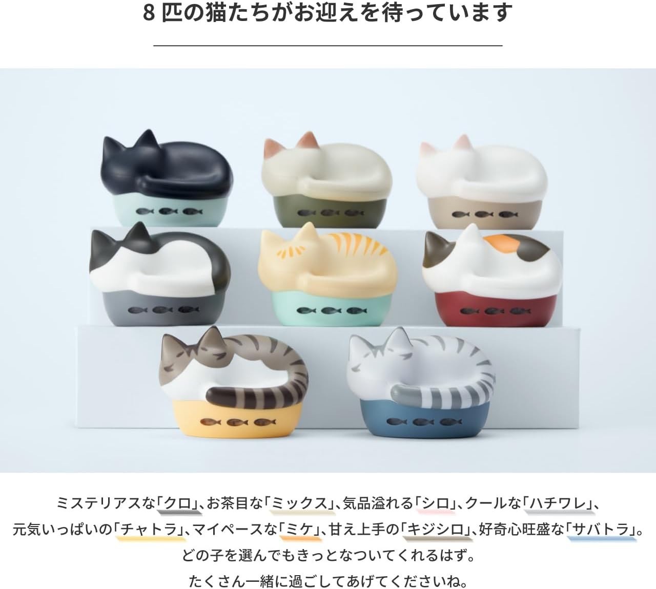radius NEKO True Wireless Earphones Bluetooth Mike HP-C28BTM Japan New