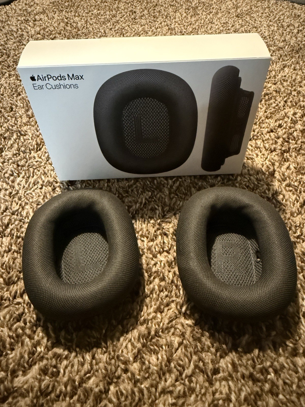 Apple AirPods Max Sky Blue with Charger and Extra Earmuffs!