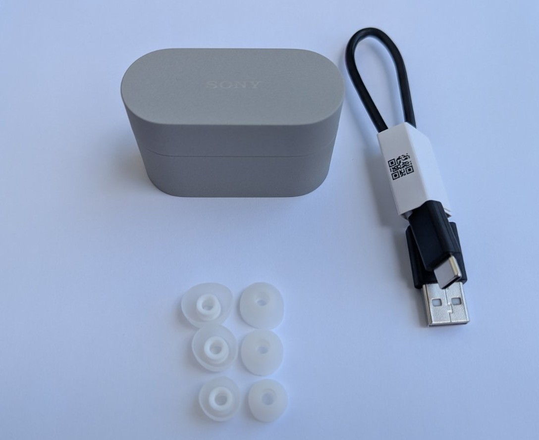 Sony WF-1000XM6 Truly Wireless Noise Cancelling Earbuds – Platinum Silver #OB
