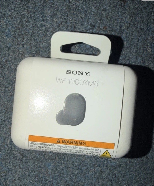 Sony WF-1000XM6 Wireless Noise Canceling Earbuds Black New Condition Sealed
