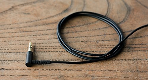 Final E2000 Canal Type Earphones Microphone Controller Matte Black Wired