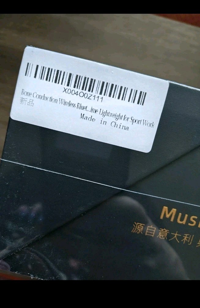 Essonio Bone Conduction Headphones IP68 Waterproof Swimming Headphones (New)