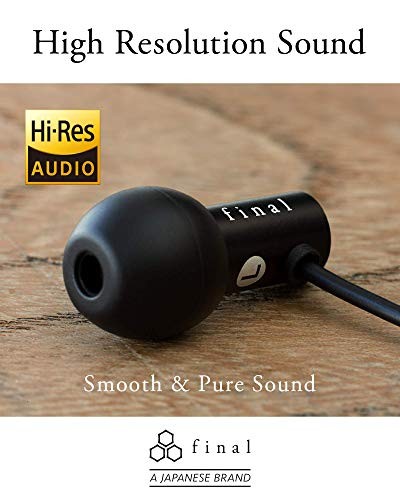 Final E2000 Canal Earphones Matte Silver FI-E2DALS New Authentic From Japan