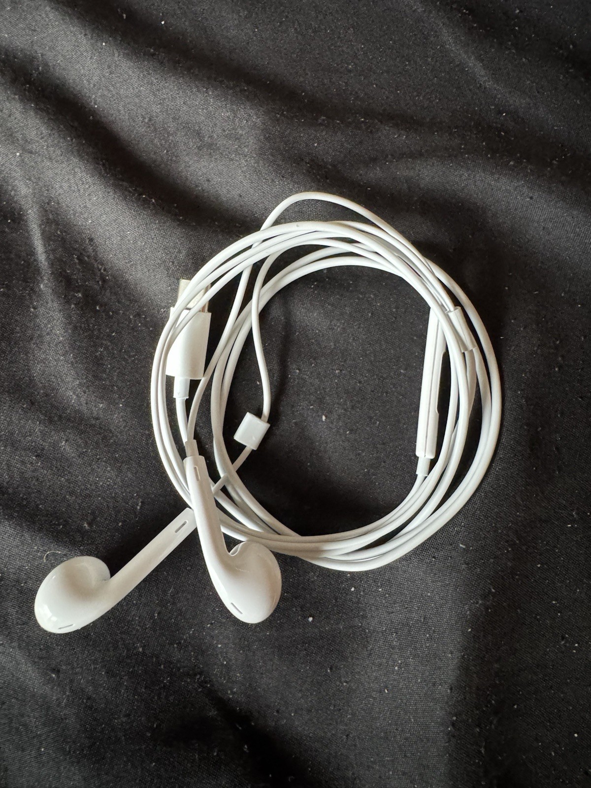 Apple EarPods USB-C In-Ear Headphones Earbud Double Earpieces White