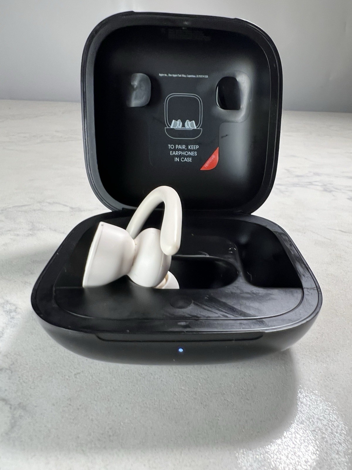 Beats by Dr. Dre Powerbeats Pro Totally Wireless 1 Rigth Earphones Cloud