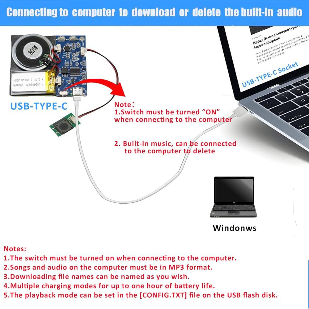 Module – 16MB Push Button Activated Sound Module with Speaker, Type-C Cable, and