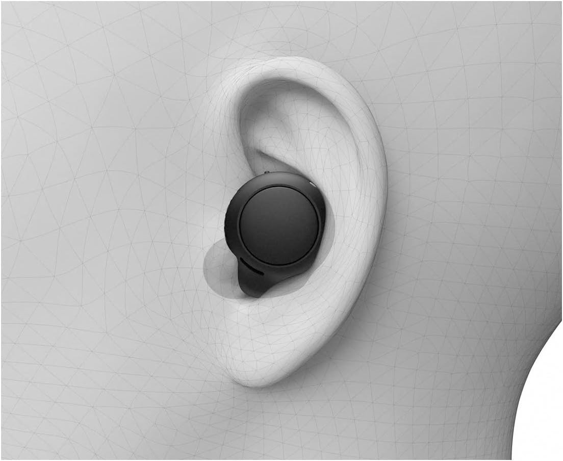 Sony WF-C500 True Wireless In-Ear Bluetooth Earbud Headphones IPX4 w Charge Case